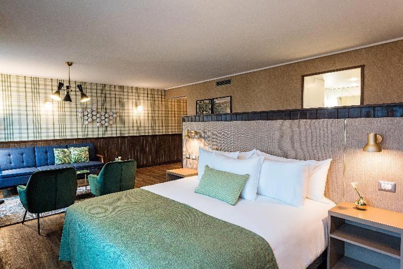 Junior Suite Mountain View