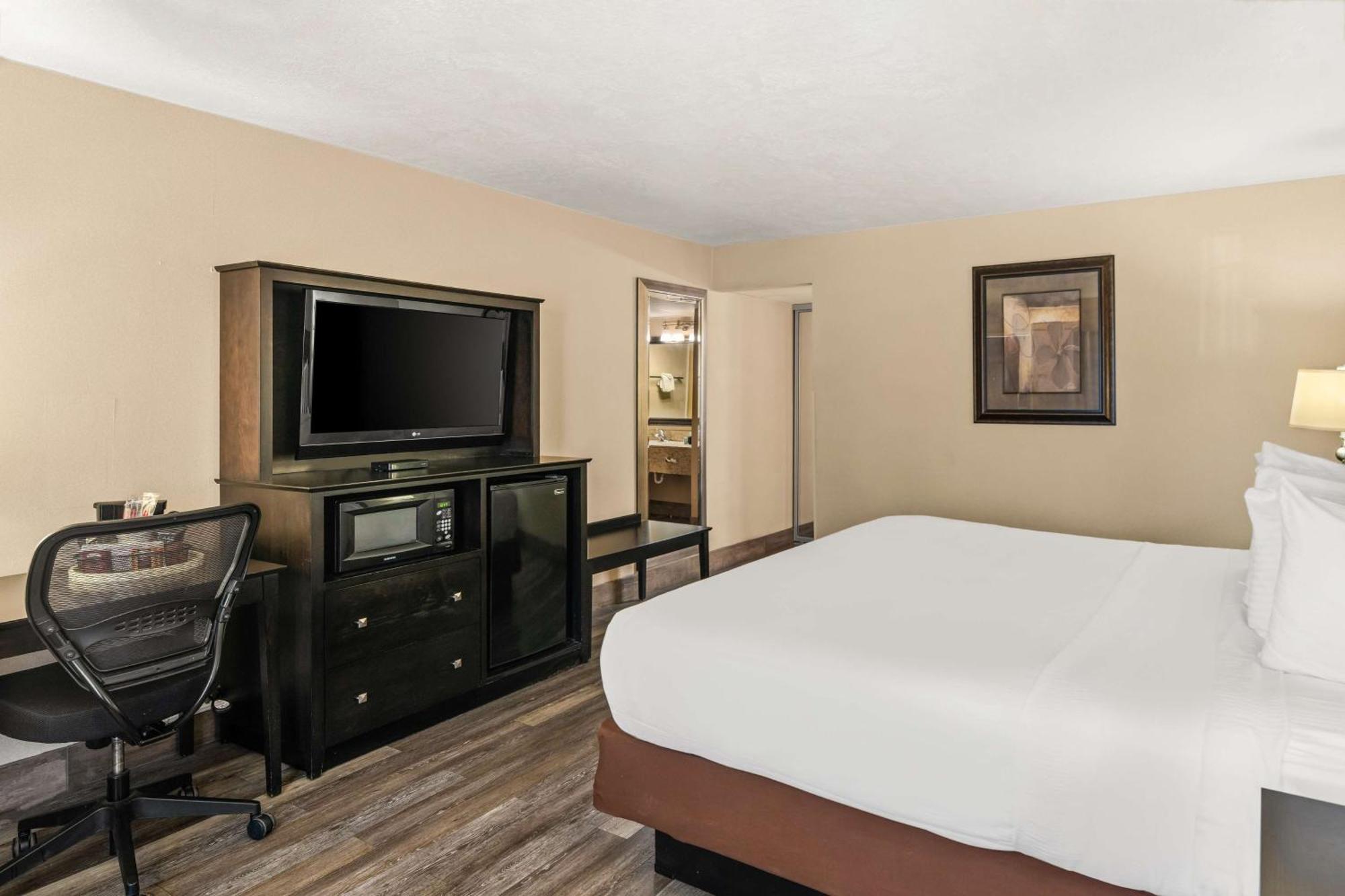 King Room Pet Friendly or Non-Smoking