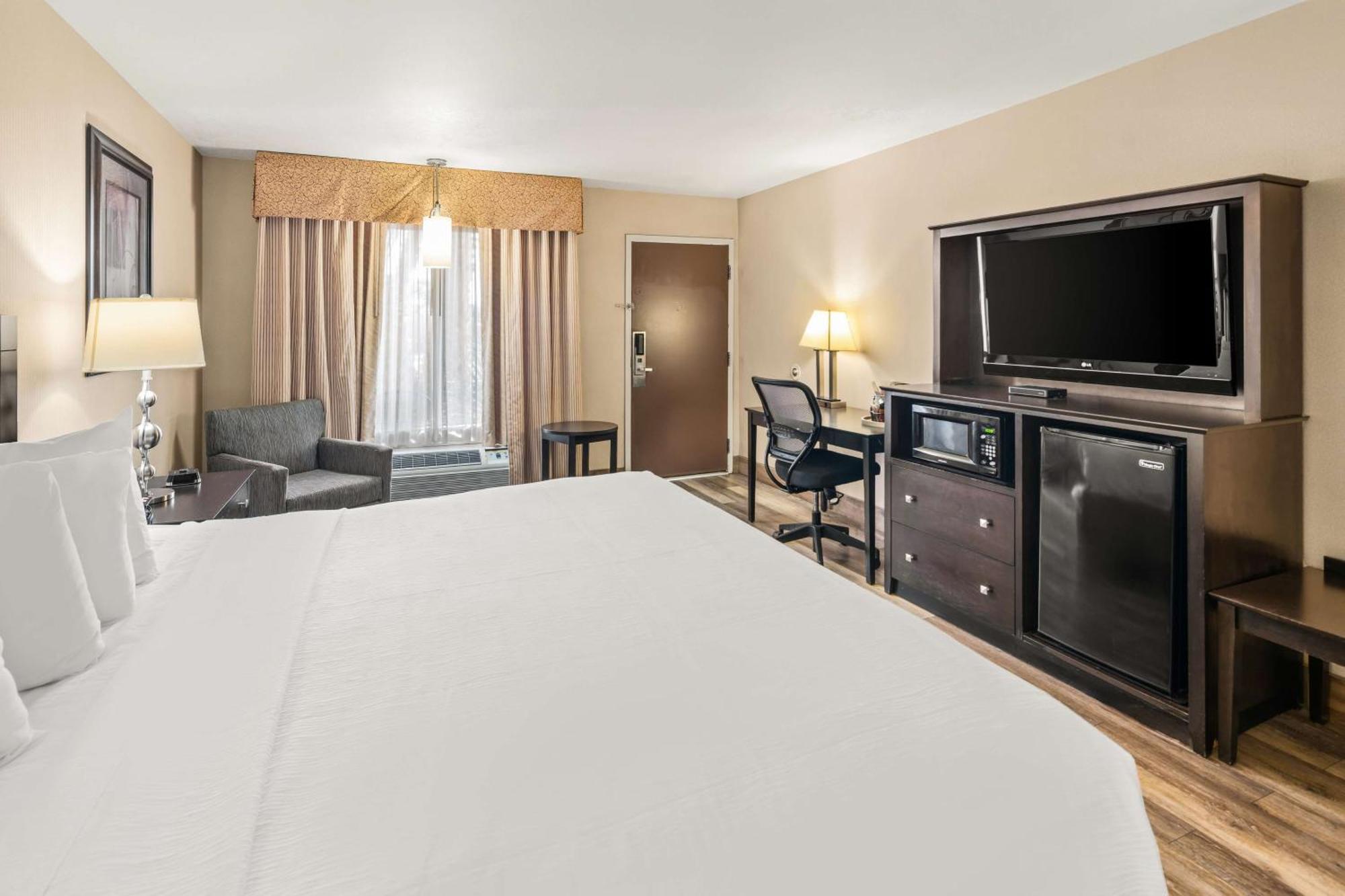King Room Pet Friendly or Non-Smoking