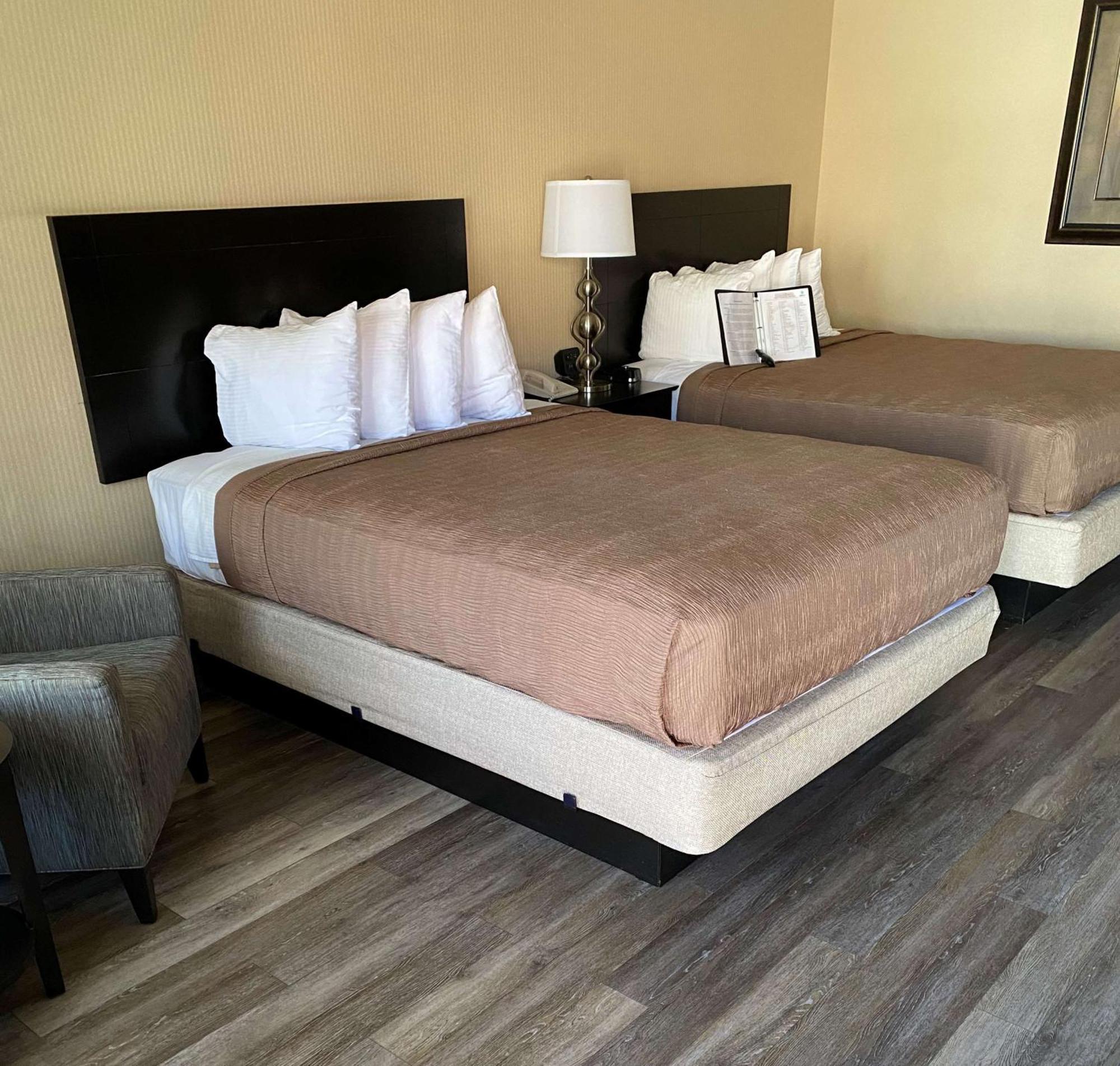 Queen Room Two Queen Beds Pet Friendly or Non-Smoking