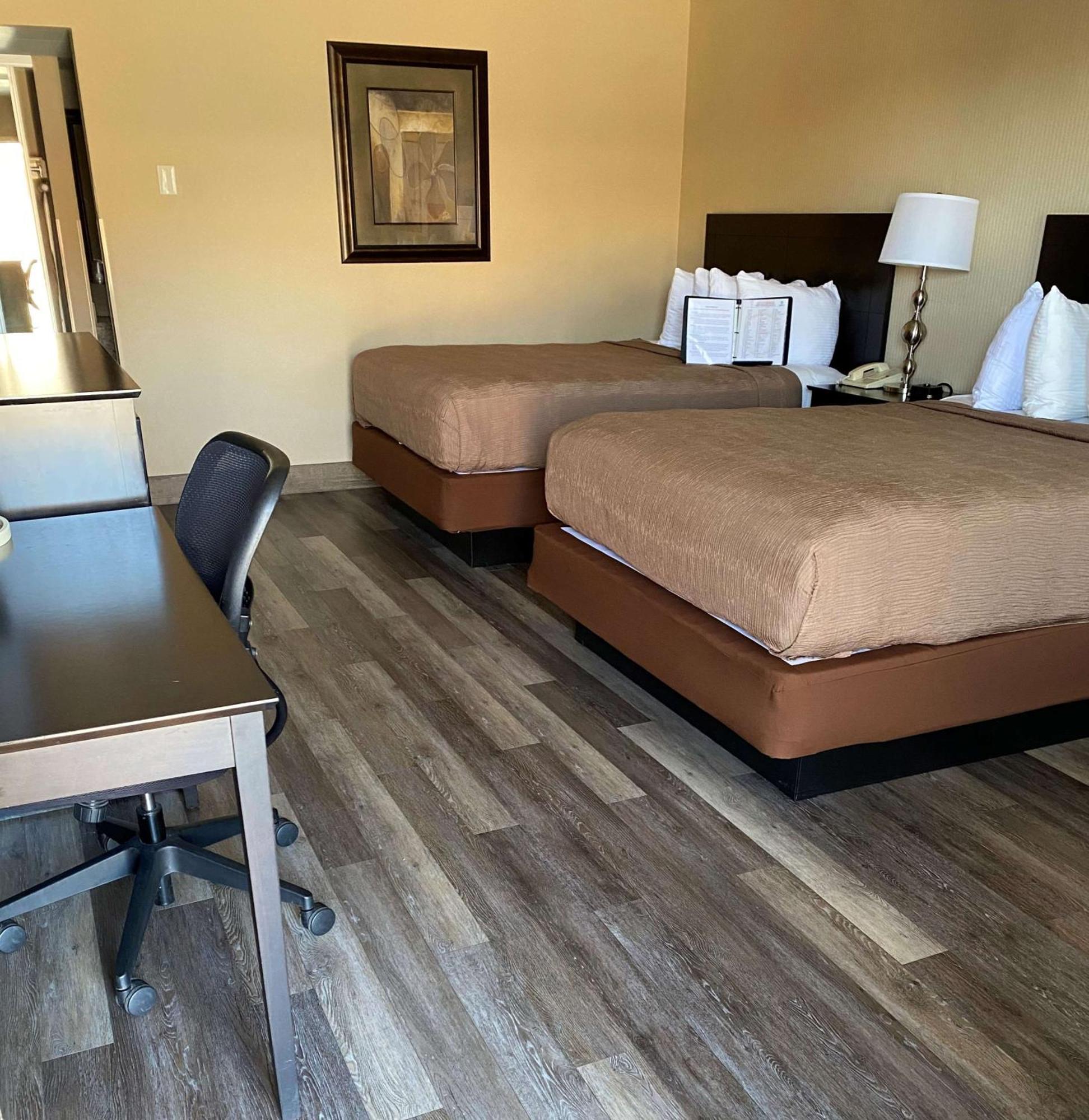 Queen Room Two Queen Beds Pet Friendly or Non-Smoking