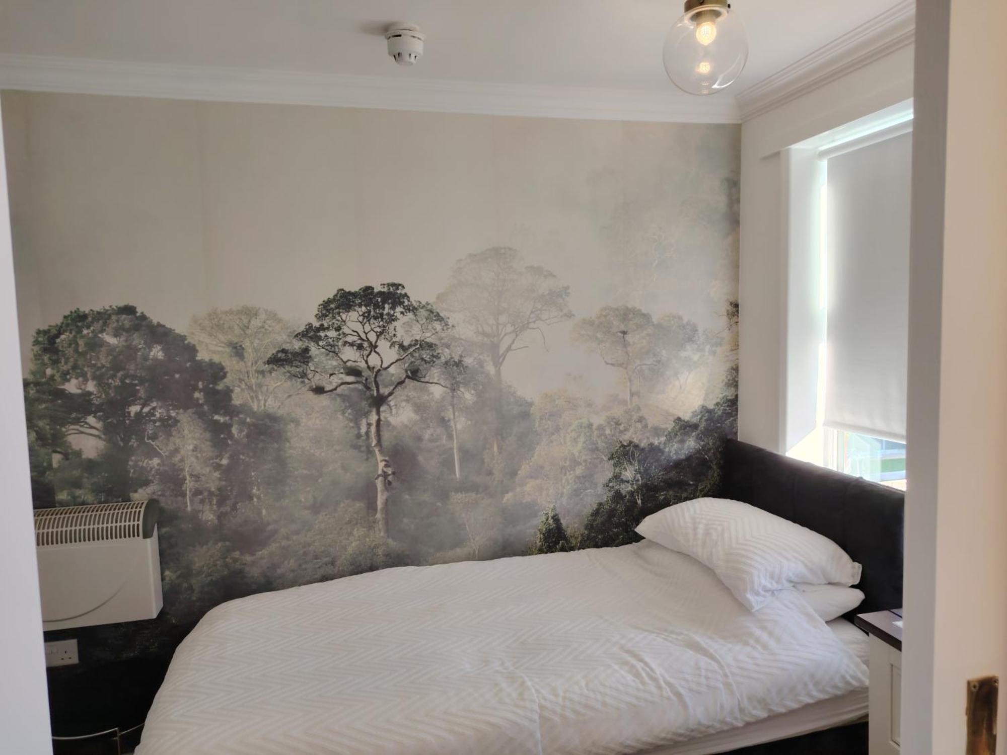 Single Room Shower
