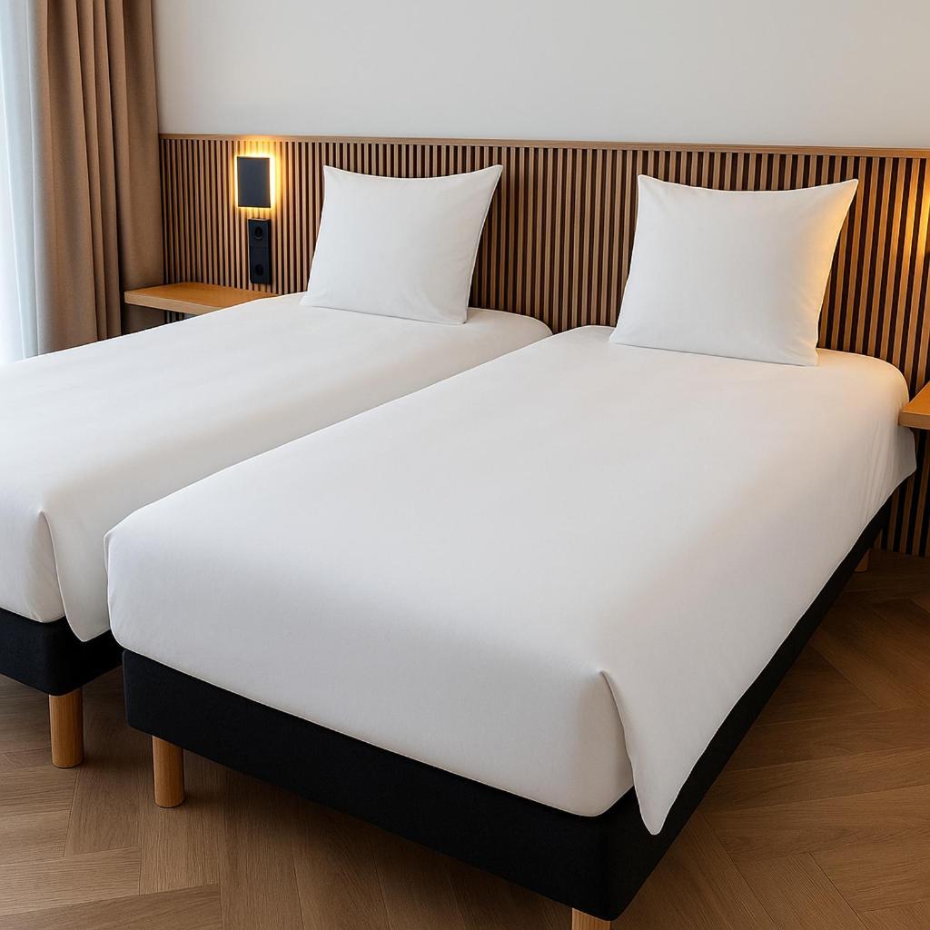 Deluxe Tweepersoonskamer met 2 Aparte Bedden
