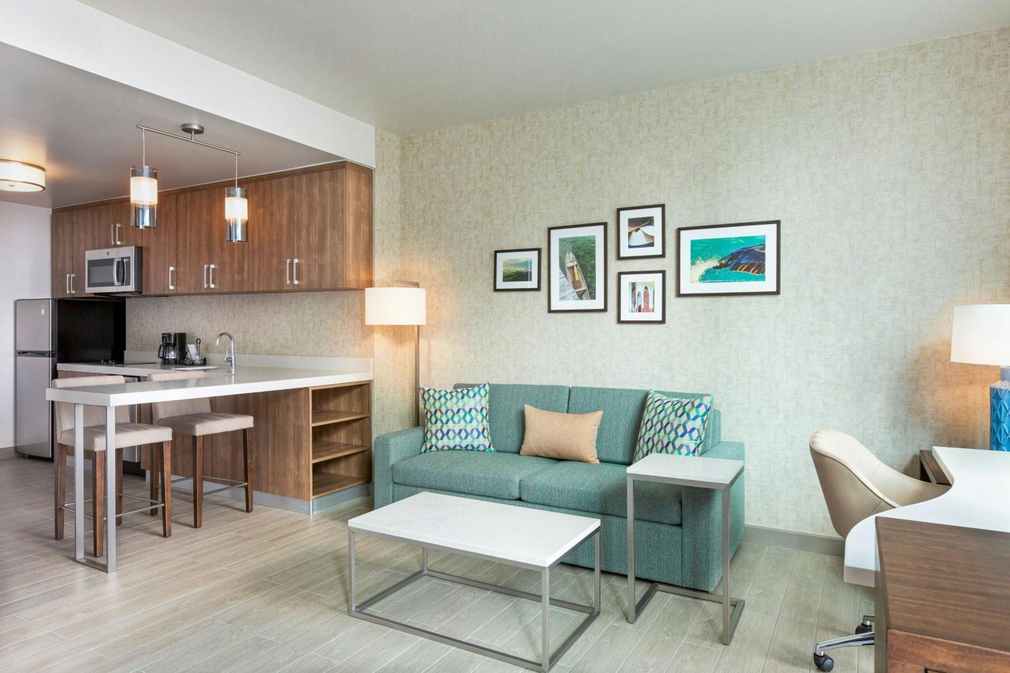 1 Bedroom Suite 1 King