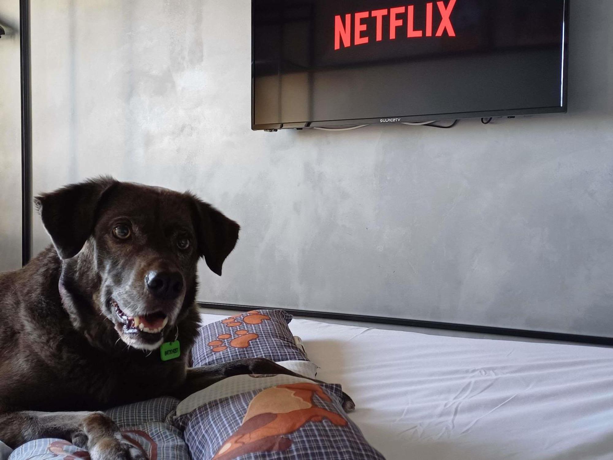 Twin Room,1746862070:JPEG