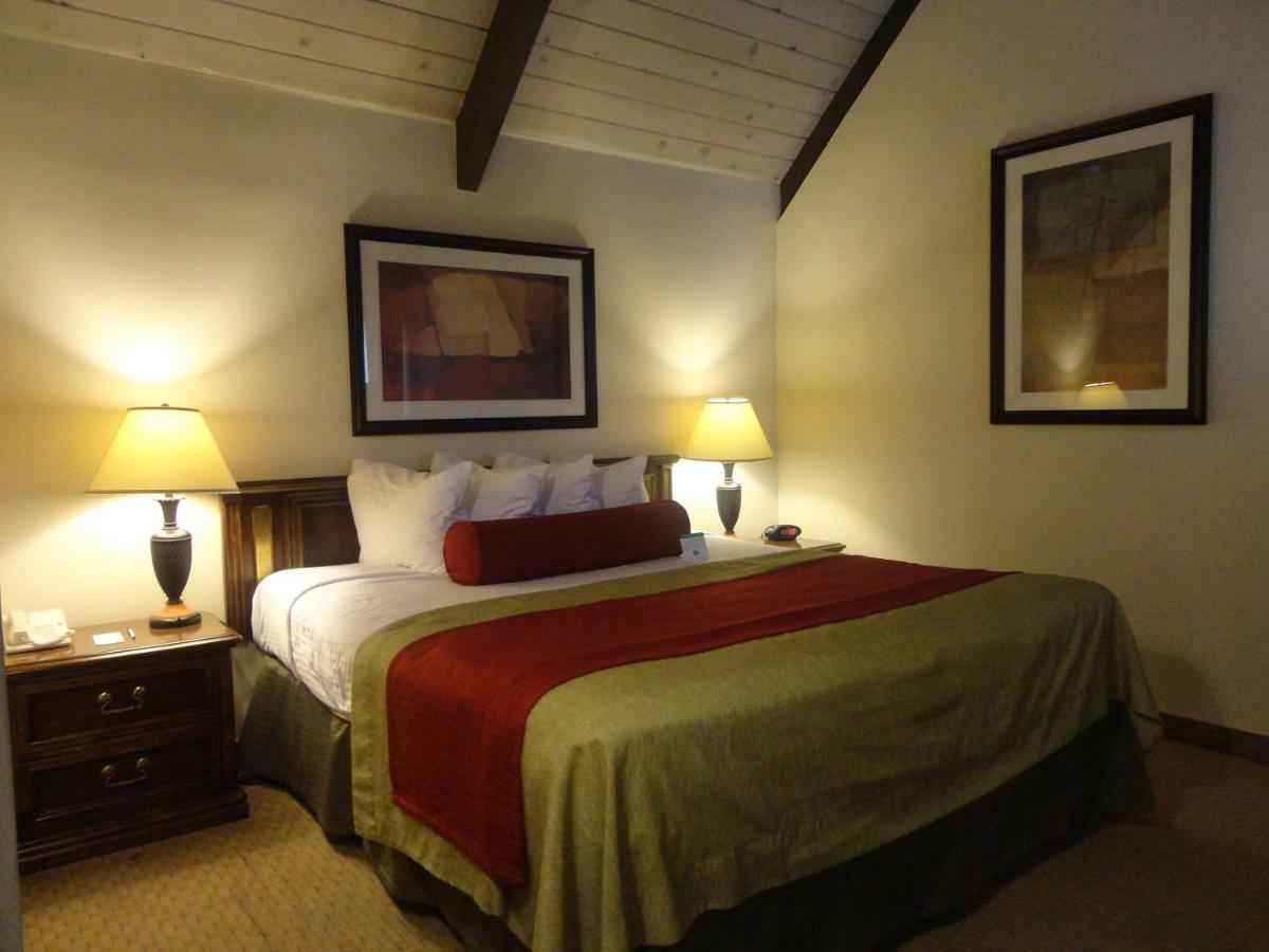 Standard Suite
