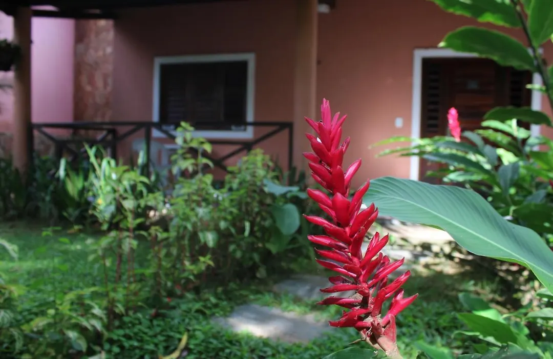 Hotel Cantinho Das Flores-1