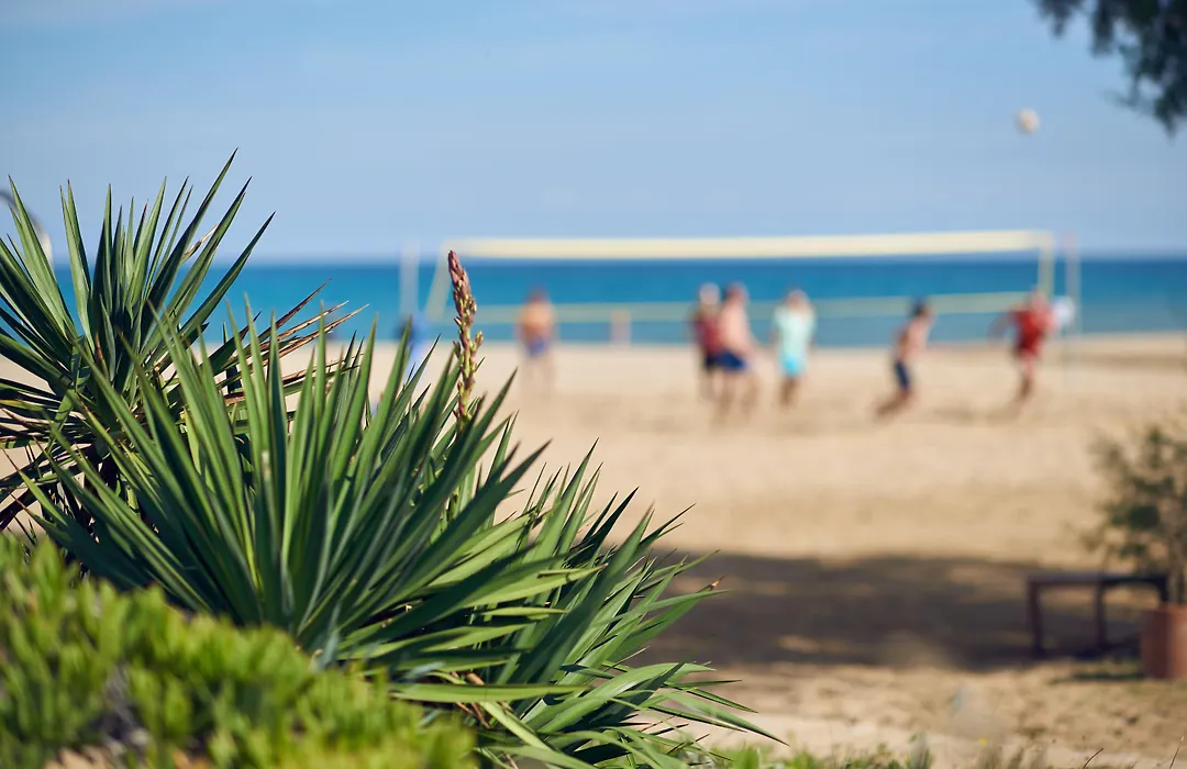 Pilot Beach Resort-1