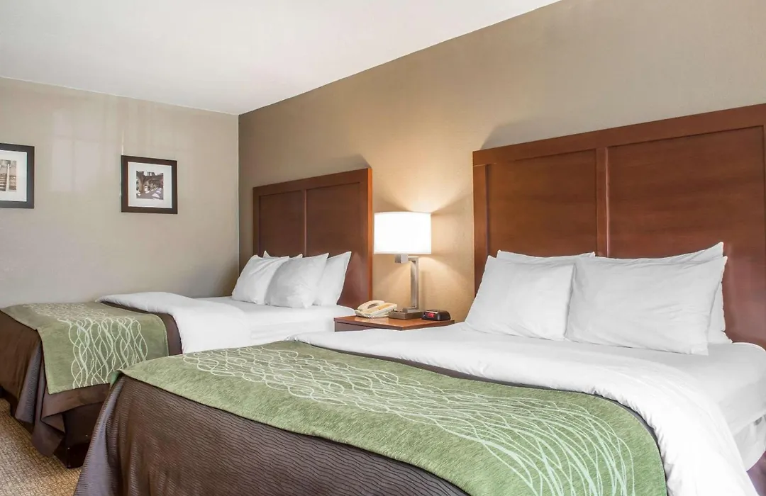 Comfort Inn Edinburg South-1