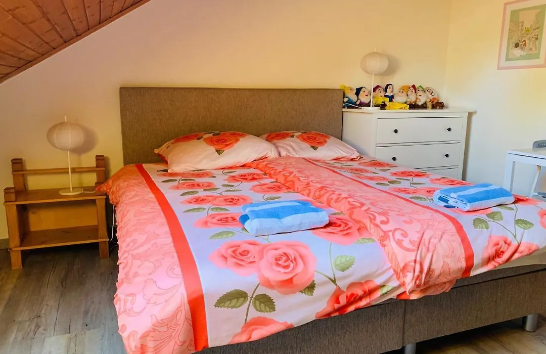 B&B Oostkapelle aan Zee-1