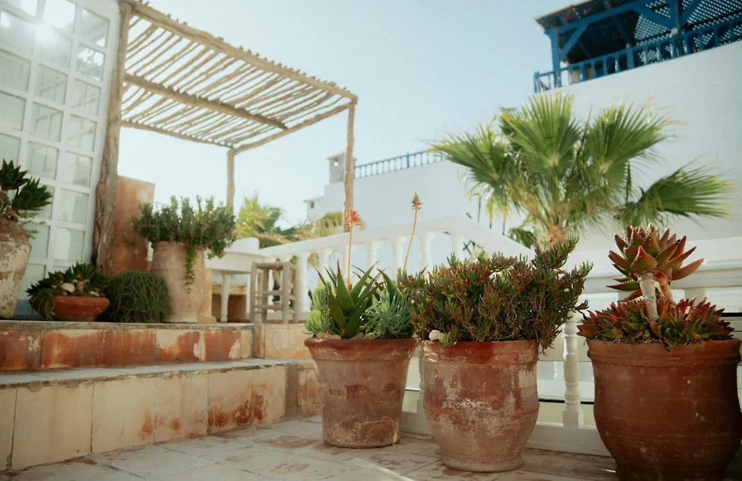 Riad Baladin-1