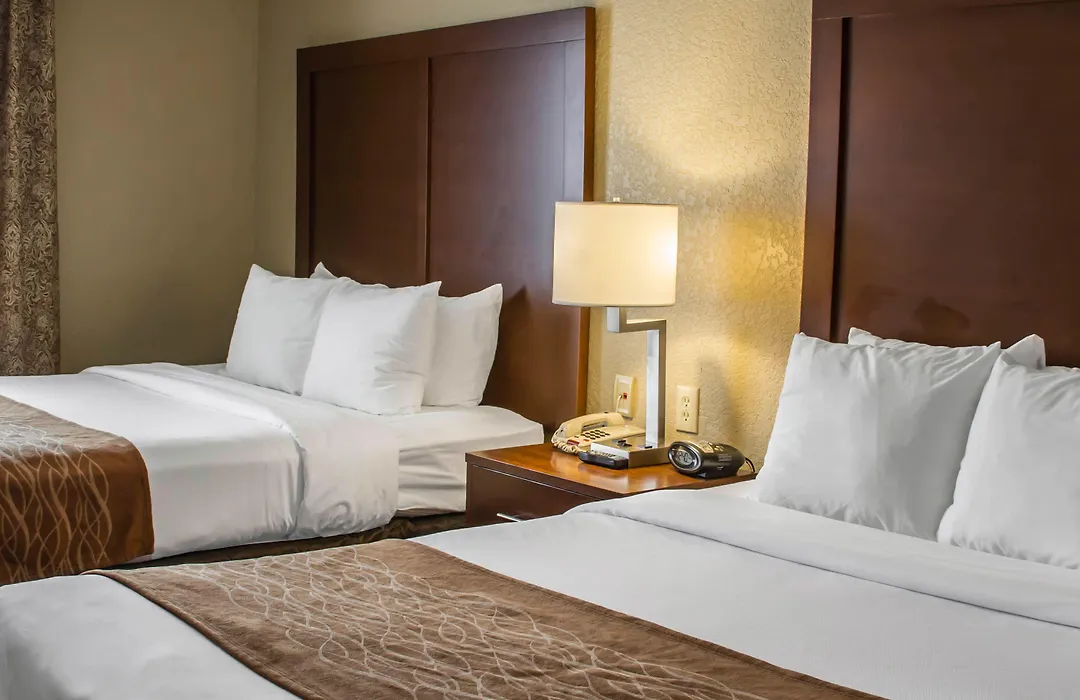 Comfort Suites San Antonio Seaworld - Lackland Afb-1