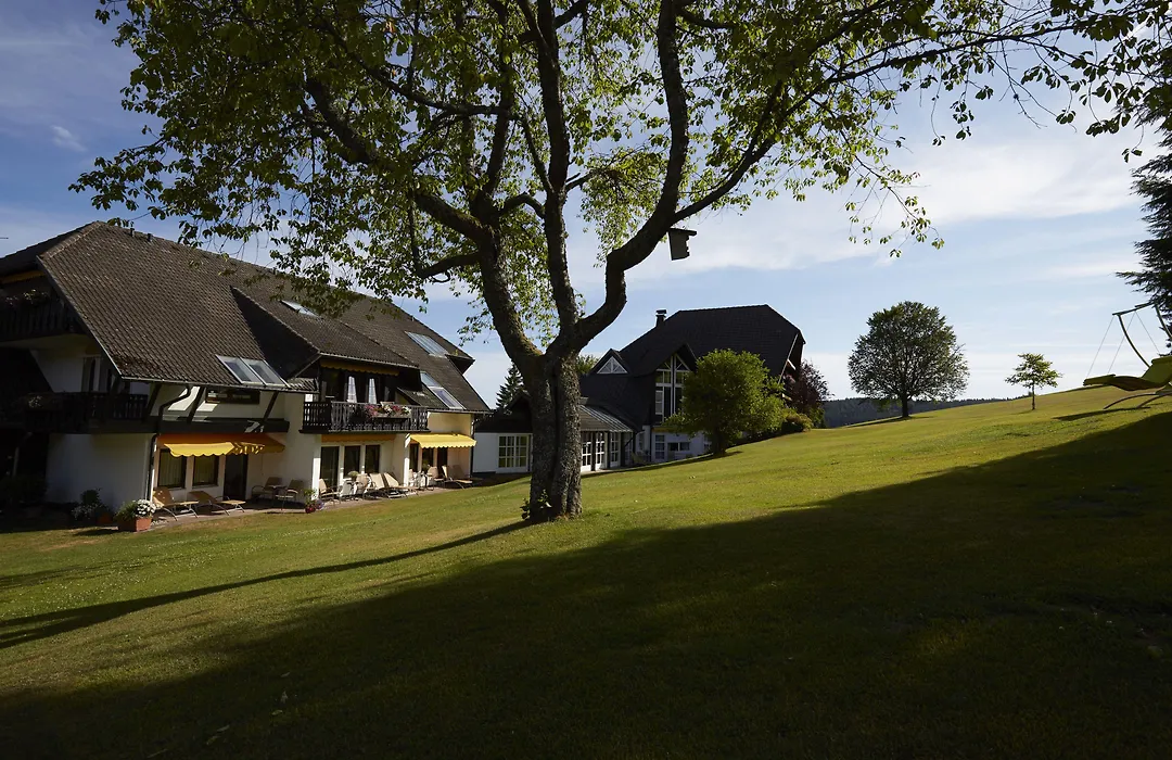 Hotel Zum Ochsen-1
