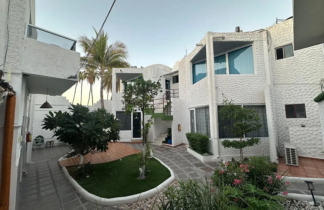 Hotel Allende-1