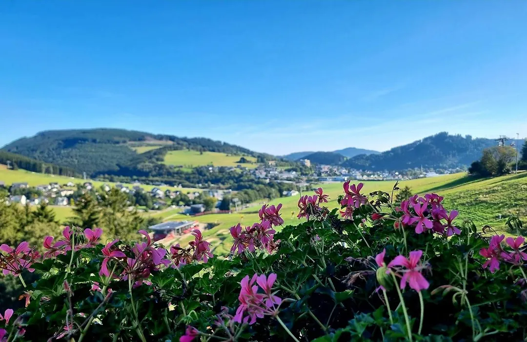 Wald Hotel Willingen-1