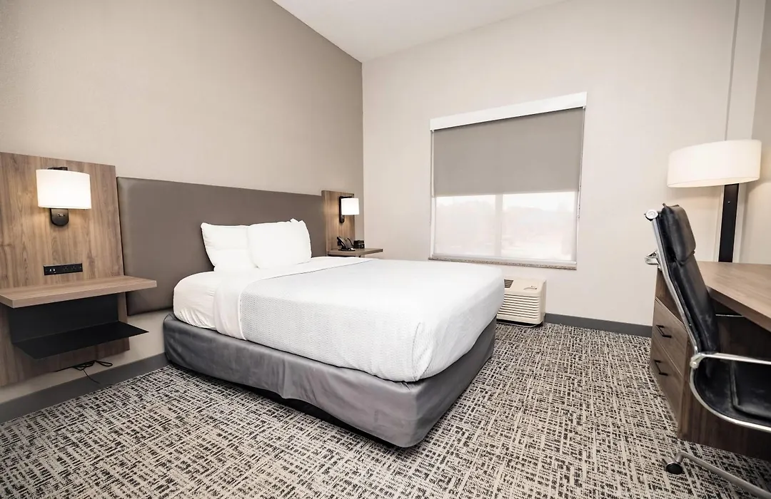 La Quinta By Wyndham Tampa Central-1