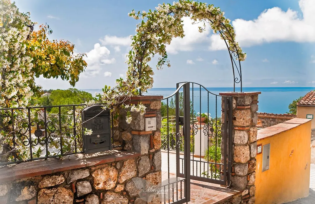 B&B Mariposa-1