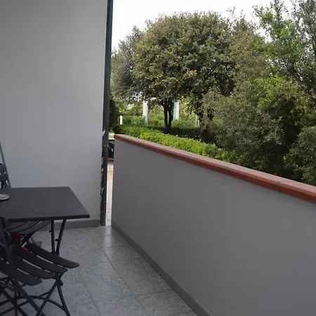 Orchidea Marina-2