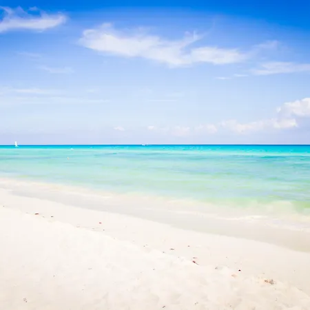 The Reef Playacar Beach Resort & Spa-2
