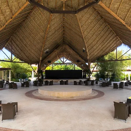 Dreams Royal Beach Punta Cana (Adults Only)-3