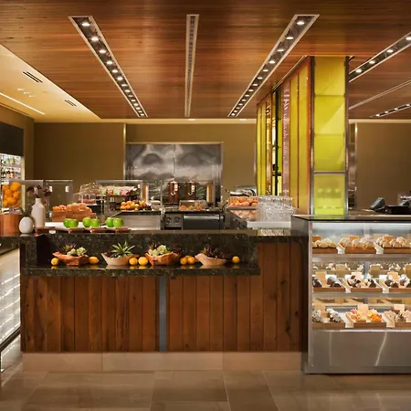 Hilton Anatole-3
