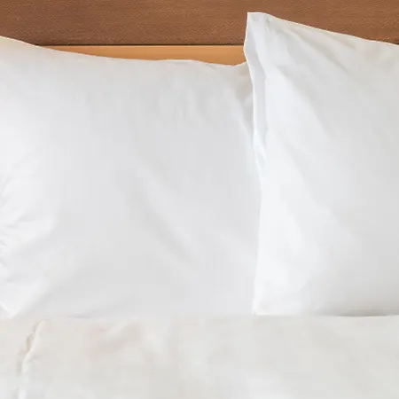 Holiday Inn Express & Suites Orlando At Seaworld By Ihg - With Free Shuttle Service To Seaworld Parks-3