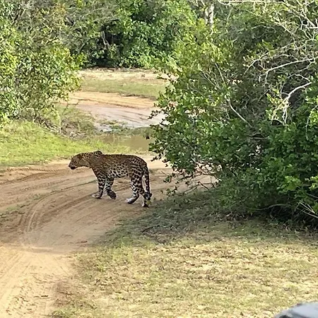 Jayasinghe Holiday Resort-3
