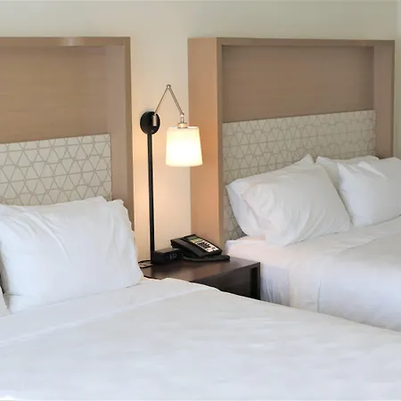 Holiday Inn & Suites St. Cloud By Ihg-3
