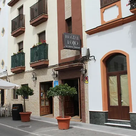 Hostal Lojo-2