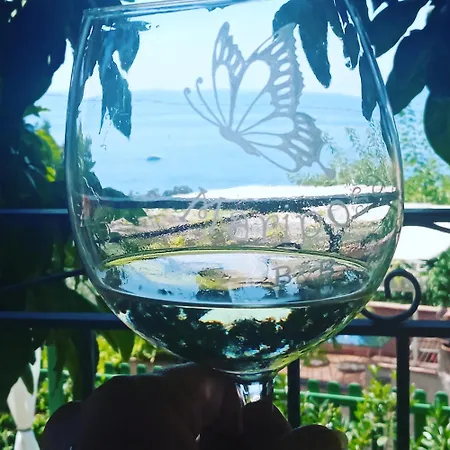 B&B Mariposa-3