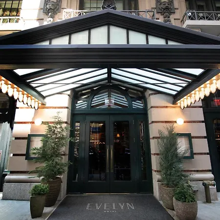 The Evelyn Nomad-2