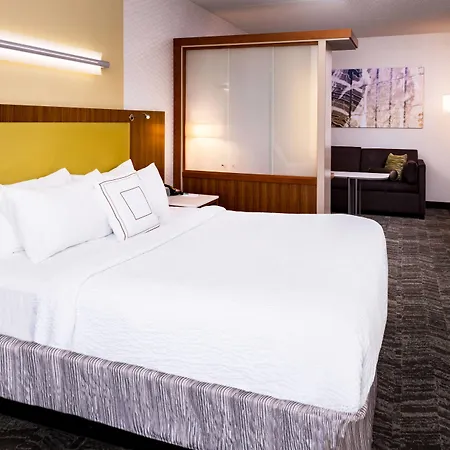 Springhill Suites Pittsburgh Southside Works-2