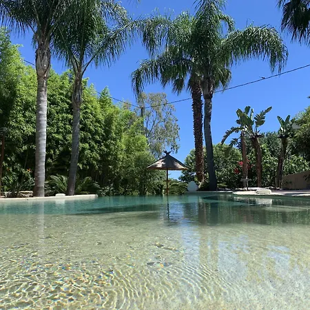 Cannes Villa St Barth-3