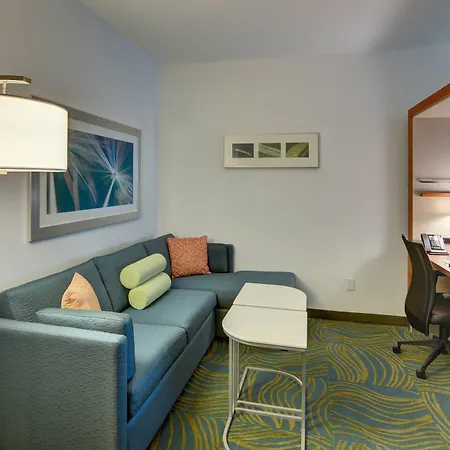 Springhill Suites By Marriott Dallas Plano/Frisco-3