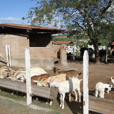 Hotel Fazenda Portal de Gravatá-3