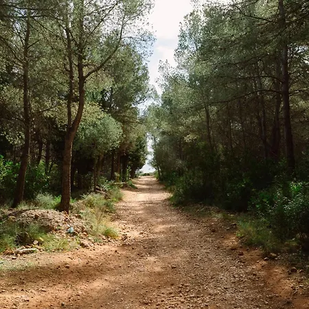 Camping Ribamar-2