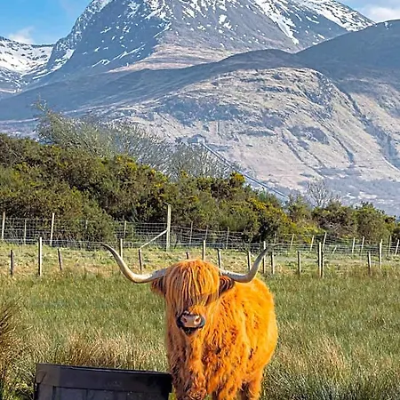 Ben Nevis Manor-3
