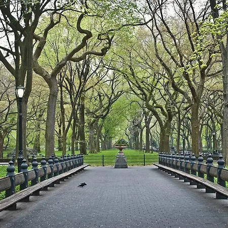 Hudson Central Park, A Morgans Hotel-2