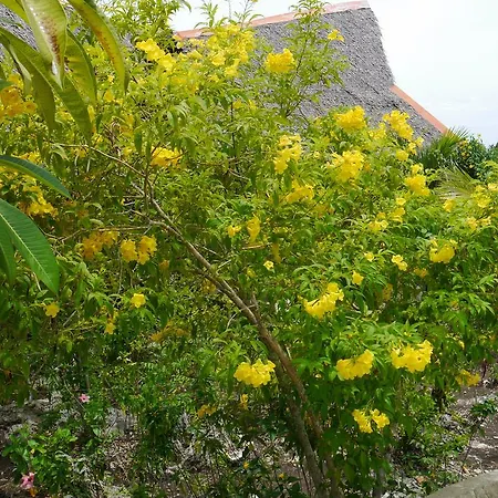 Moalboal T Breeze Coastal Resort-3