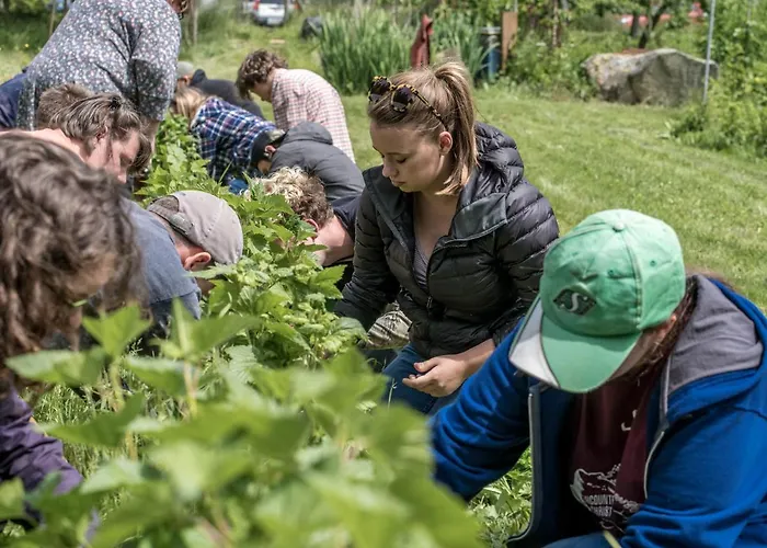 Nettles Farm