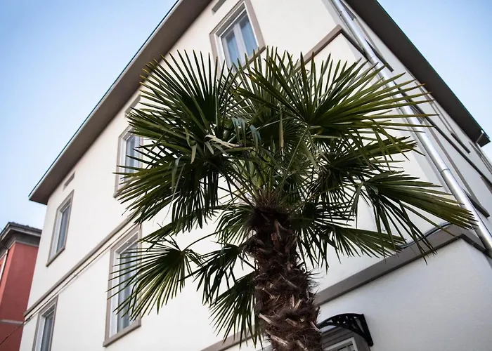 Le Palme