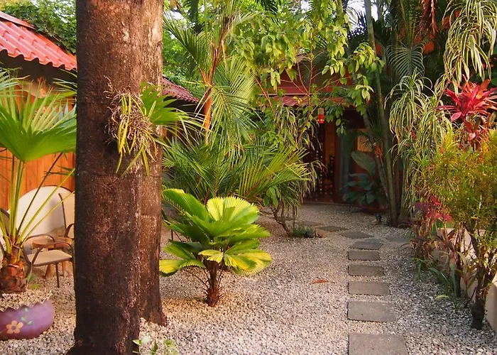 Samara Palm Lodge