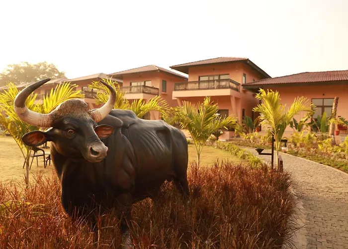 The Pench International