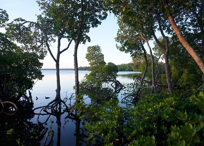The Mida Creek Hotel