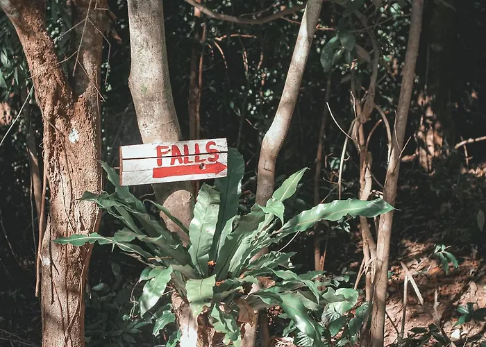 La Vie Adventure Trails