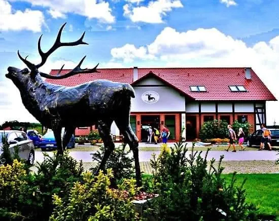 Pensjonat I Restauracja Hubertowka