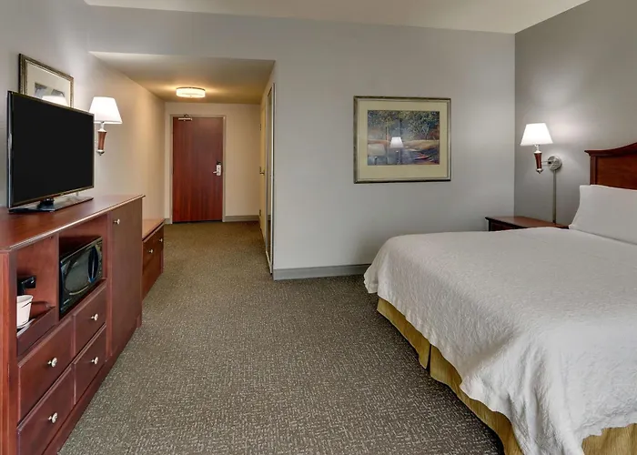 Hampton Inn & Suites Indianapolis-Airport