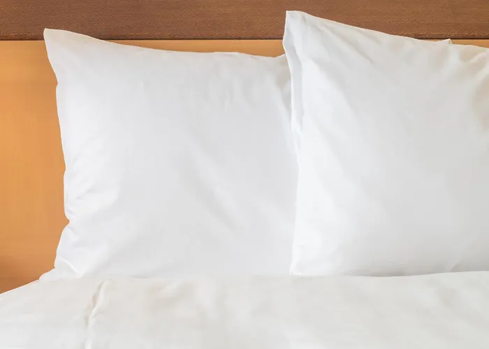 Holiday Inn Santa Ana-Orange Co Arpt By Ihg