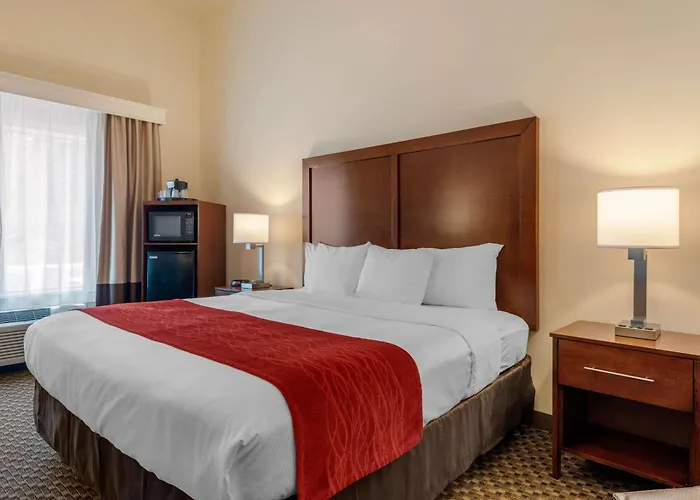 Comfort Inn & Suites Fort Myers Airport