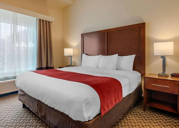 Comfort Inn & Suites Fort Myers Airport